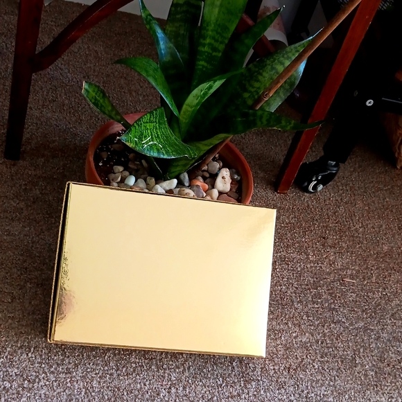 Micheal Kors Belt Bag Size S/M NIB FREE SHIPPING‼️ - Picture 5 of 5